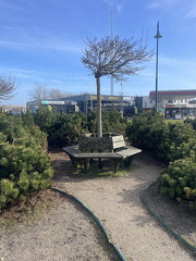 Texel